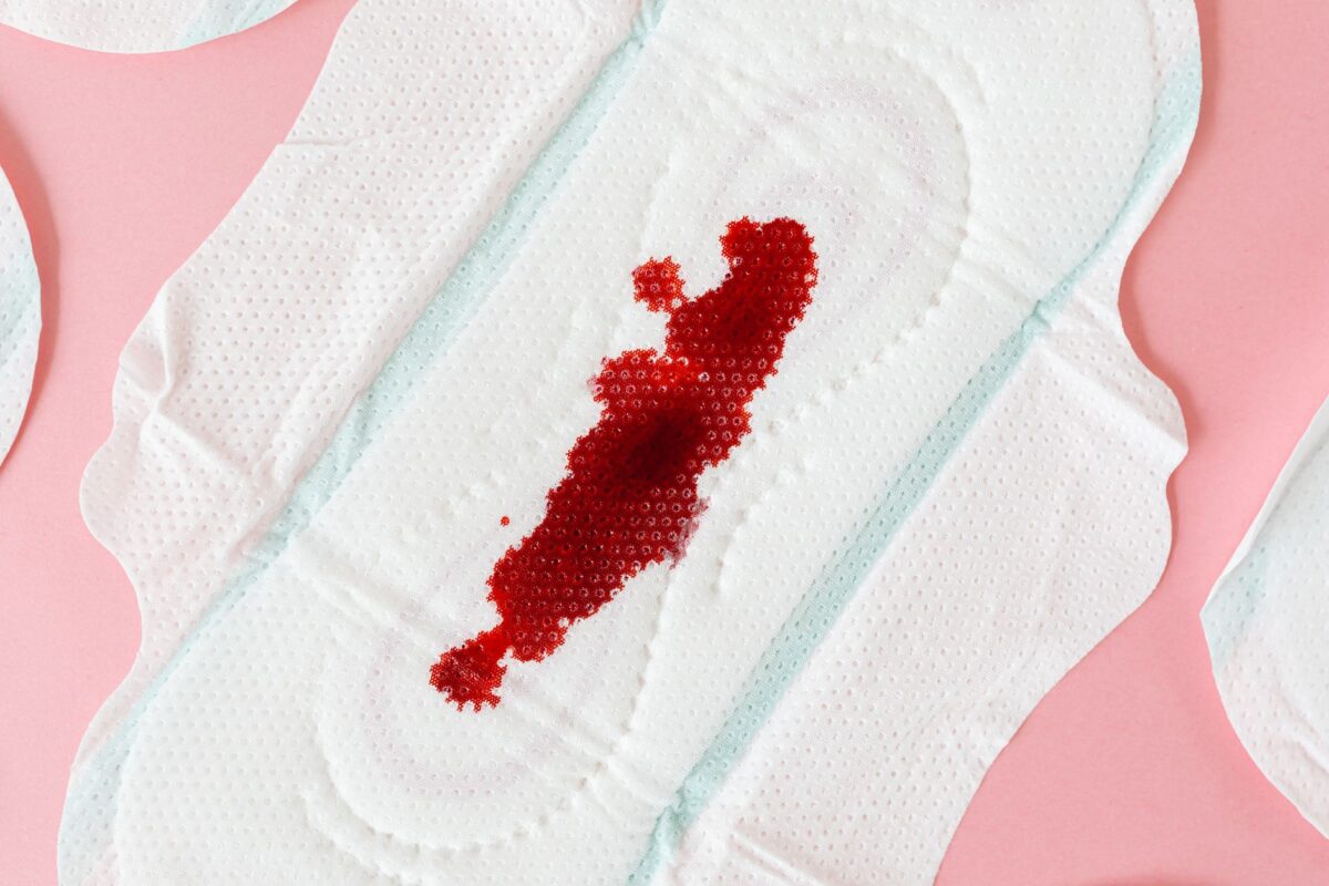 maillot menstruel sorio modèles conviennent